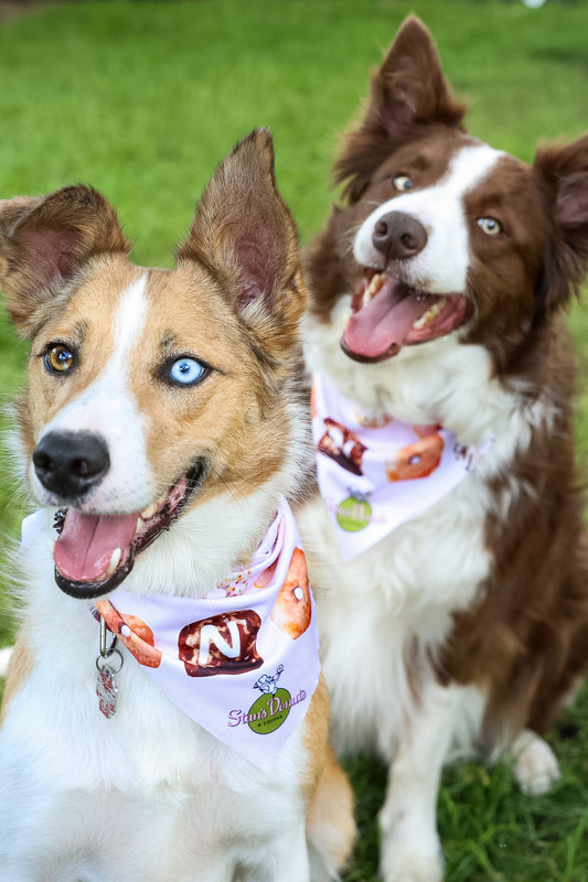 Stan's Donut Doggy Bandana