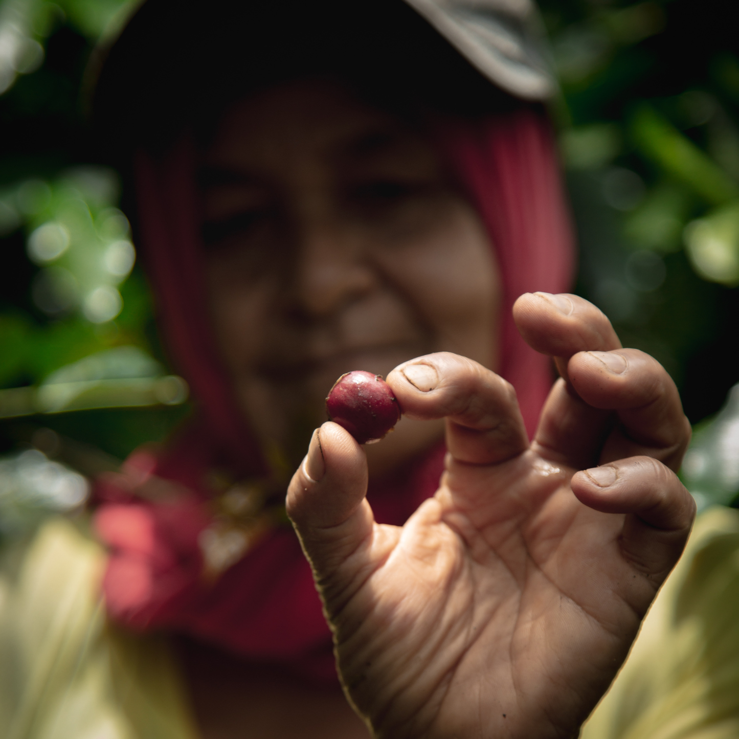 Stan’s Double Pack