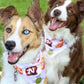 Stan's Donut Doggy Bandana