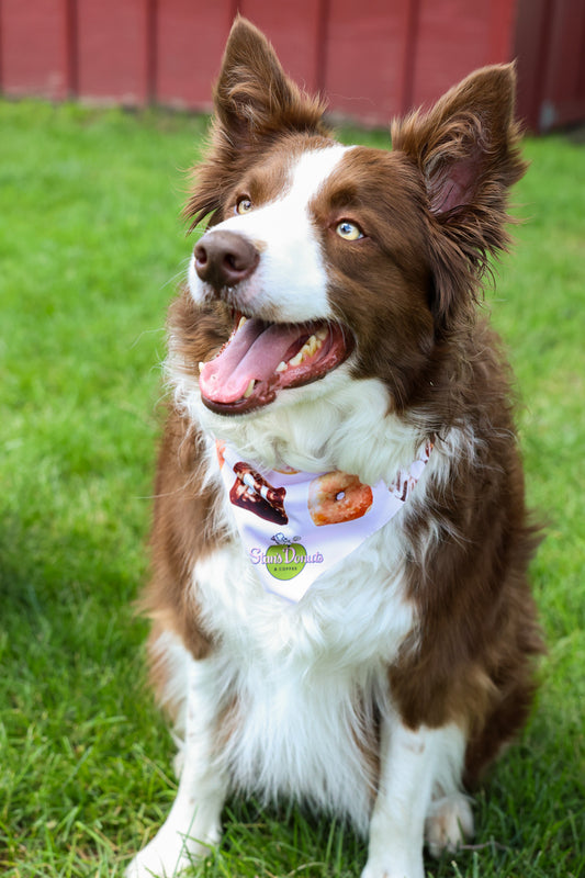 Stan's Donut Doggy Bandana