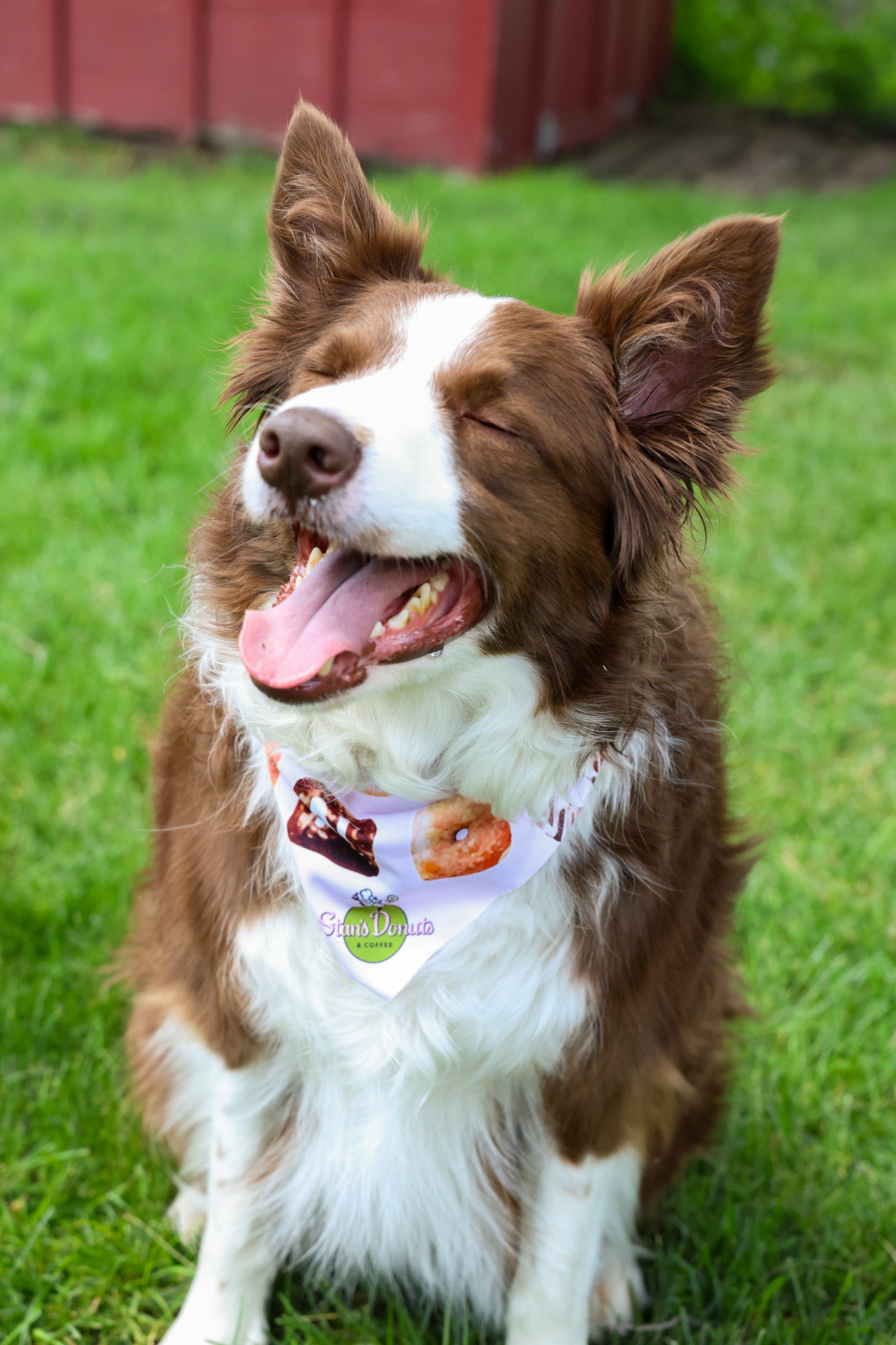 Stan's Donut Doggy Bandana