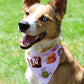 Stan's Donut Doggy Bandana